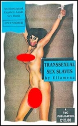 English novelette cover